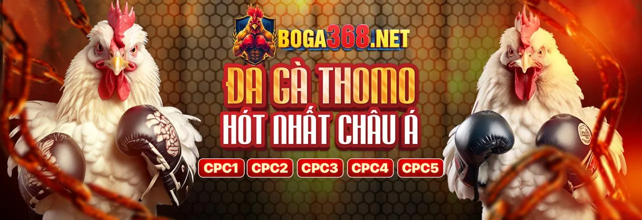 Sodo80 Đấu Gà Trực Tuyến