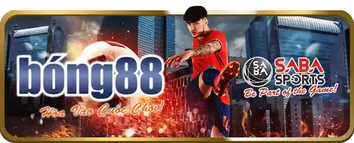 Hoàn trả tiền cược hàng tuần
